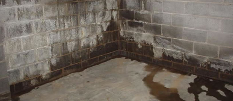 Basement Waterproofing Estimate North Arlington, NJ